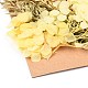 ドライフラワー  ブライダルシャワー用  結婚式  保存された生花  カラフル  210x148x14~24.5mm DIY-B018-15-2