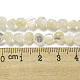 Fili di perline di conchiglia bianca naturale SSHEL-H072-03-4