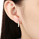 Boucles d'oreilles créoles en laiton et zircons cubiques EJEW-BB14966-A-6