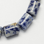 Pierre gemme naturelle tache bleue colonne de jaspe perles brins, bleu marine, 14x10mm, Trou: 1mm, Environ 28 pcs/chapelet, 15.7 pouce