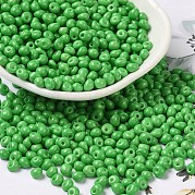 6/0 стеклянный бисер непрозрачной краски для выпечки SEED-M012-02A-06