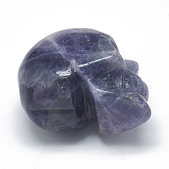 Естественные украшения дисплея флюорита радуги&nbsp;G-S336-24A