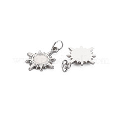Pendentifs en acier inoxydable 304 avec monture en émail&nbsp;STAS-N097-216