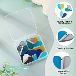 10 шт. подвески из непрозрачной и прозрачной смолы и дерева 5 цветов&nbsp;RESI-TA0004-59