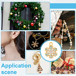 10шт. сплав с подвесками из кубического циркония&nbsp;FIND-PH0028-35B