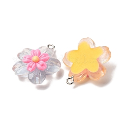 Прозрачные смоляные подвески RESI-A046-05A