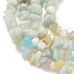 Fili di perline di amazonite di fiori naturali&nbsp;X-G-M205-12B