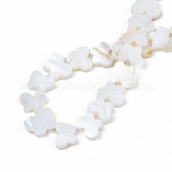 Shell perle d'acqua dolce fili&nbsp;SHEL-T009-A18