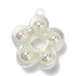 (распродажа с дефектом: пожелтение) прозрачные акриловые подвески TACR-XCP0001-05