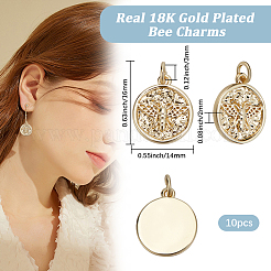 Латунные подвески с покрытием 10шт&nbsp;KK-BBC0017-16