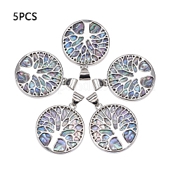 Имитация смолы / оболочка пауа / подвеска в виде ушка&nbsp;RESI-S376-24