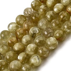 Натуральные лепидолитовые бусины G-F799-B02-12mm