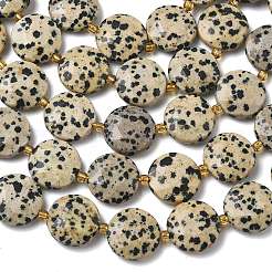 Природные яшмы далматин бисер нитей&nbsp;G-A292-A06-01