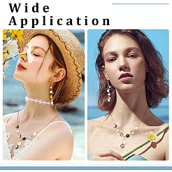 26 шт. 26 вида натуральных черных ракушечных шестигранных бусин&nbsp;FIND-PH0027-79