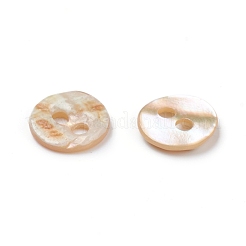 Раковина морского морского ушка / раковина пауа BSHE-I011-04E