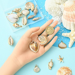 18 шт. 9 стиля позолоченные акриловые имитационные подвески-ракушки&nbsp;PACR-YW0001-42