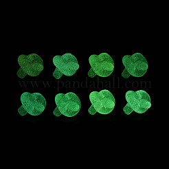 Светящиеся матовые прозрачные акриловые бусины&nbsp;TACR-T029-23M