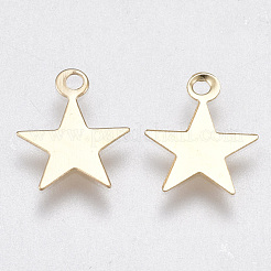 Железа подвески&nbsp;IFIN-T007-18KC-NF