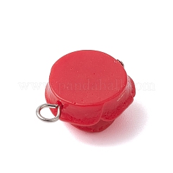 Подвески из непрозрачной смолы&nbsp;PALLOY-JF02752-01