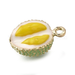 Подвески из эмали и сплава&nbsp;ENAM-D303-07G-04