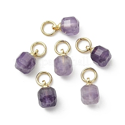 Natürlichen Amethyst Edelsteinanhänger&nbsp;PALLOY-JF05300-02