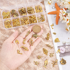 Подвески из сплава в тибетском стиле FIND-PH0017-41