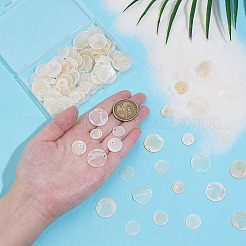 150 шт. 3 стиля натуральные подвески-диски в виде ракушек Capiz&nbsp;SHEL-ME0001-02