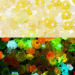 30 g leuchtende Decoden-Cabochons aus Harz&nbsp;RESI-TA0003-32B