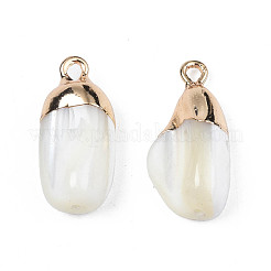 Подвески из натуральной раковины трохида/троха SSHEL-N027-126