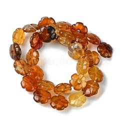 Натуральный красный агат бисер нитей G-H023-B21-01