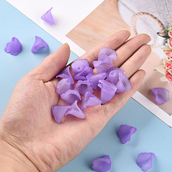 Прозрачные колпачки акриловая бисера PL551-C08