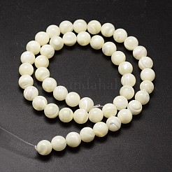 シェルビーズ連売り  ラウンド  6~6.2mm  穴：1mm  約65個/連  15インチ（38cm）&nbsp;X-SSHEL-E571-39-6mm