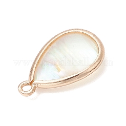 Подвески-капли из натуральных ракушек пауа&nbsp;PALLOY-JF03762-03