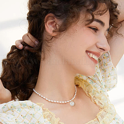 Подвески из эмали из сплава 120 шт.&nbsp;ENAM-FH0001-59