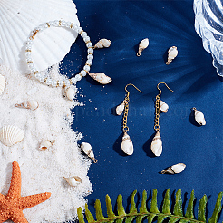 20 шт. гальванизированные спиральные подвески-ракушки&nbsp;SSHEL-UN0001-02