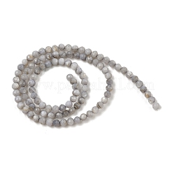 Натуральные пресноводные окрашенные бусы из ракушек SHEL-R100-12A-04