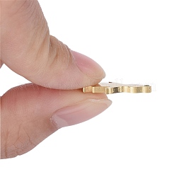 Anhänger aus Edelstahl 304&nbsp;LS-STAS-I140-12G