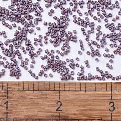 Miyuki Delica Perlen&nbsp;X-SEED-J020-DB1066
