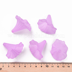 Прозрачные акриловые бусины&nbsp;BSF796-C08