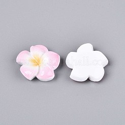 Кабошоны из непрозрачной смолы в виде цветка плюмерии CRES-T025-30M-01