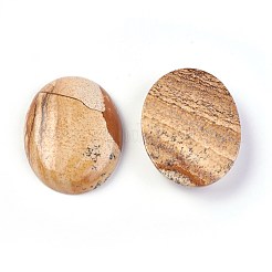 Cabochon di diaspro dell'immagine naturale&nbsp;G-F608-03A