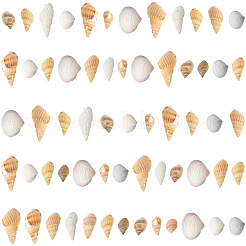 150 г 5 вида натуральных смешанных ракушечных бусин&nbsp;SSHEL-SC0001-51