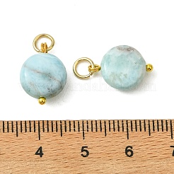 Ciondoli larimar naturali&nbsp;PALLOY-JF05999