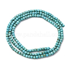 Природные Говлит бисер нитей G-B142-C04-2x2mm