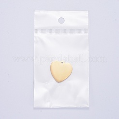Pendentifs en acier inoxydable 304&nbsp;LS-STAS-I140-10A-G