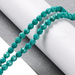 Fili di perline howlite naturale&nbsp;G-C025-02C-08