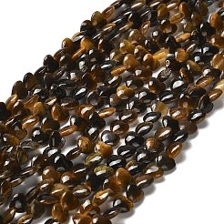 Природных тигровый глаз бисер нитей G-P575-C10-6mm