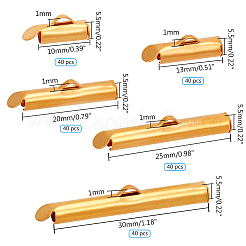 Железо скользят по конечных бюгельных труб IFIN-PH0024-16G