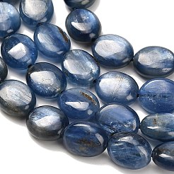 Натуральный кианитовые бисер пряди&nbsp;G-H335-D01-8x10mm-A