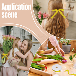 Полиэстер Grosgrain ленты&nbsp;OCOR-WH0082-492